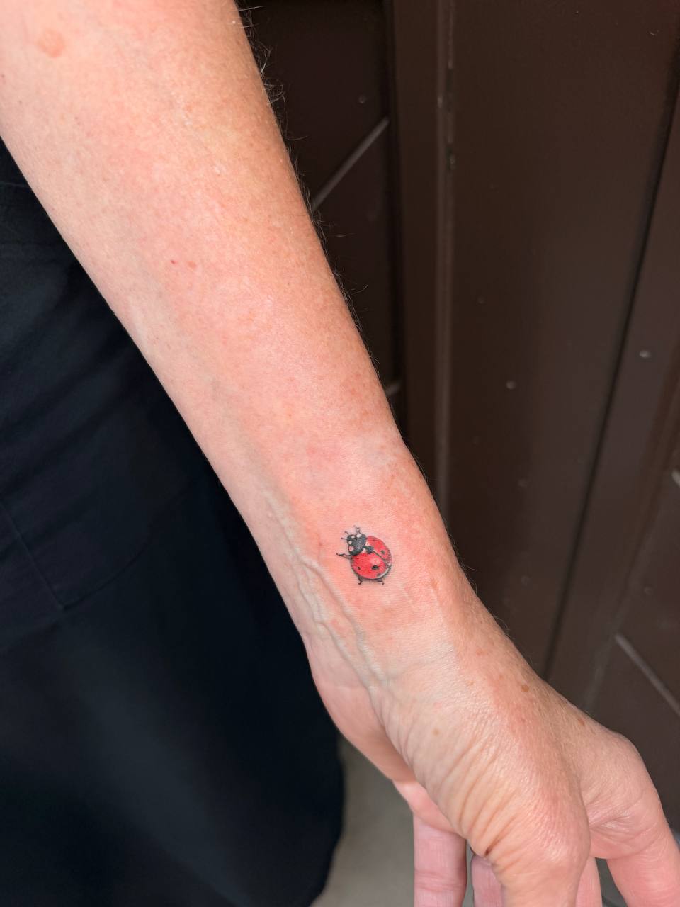 Micro-realism tetování berušky na předloktí / Micro-realism ladybird tattoo on the forearm